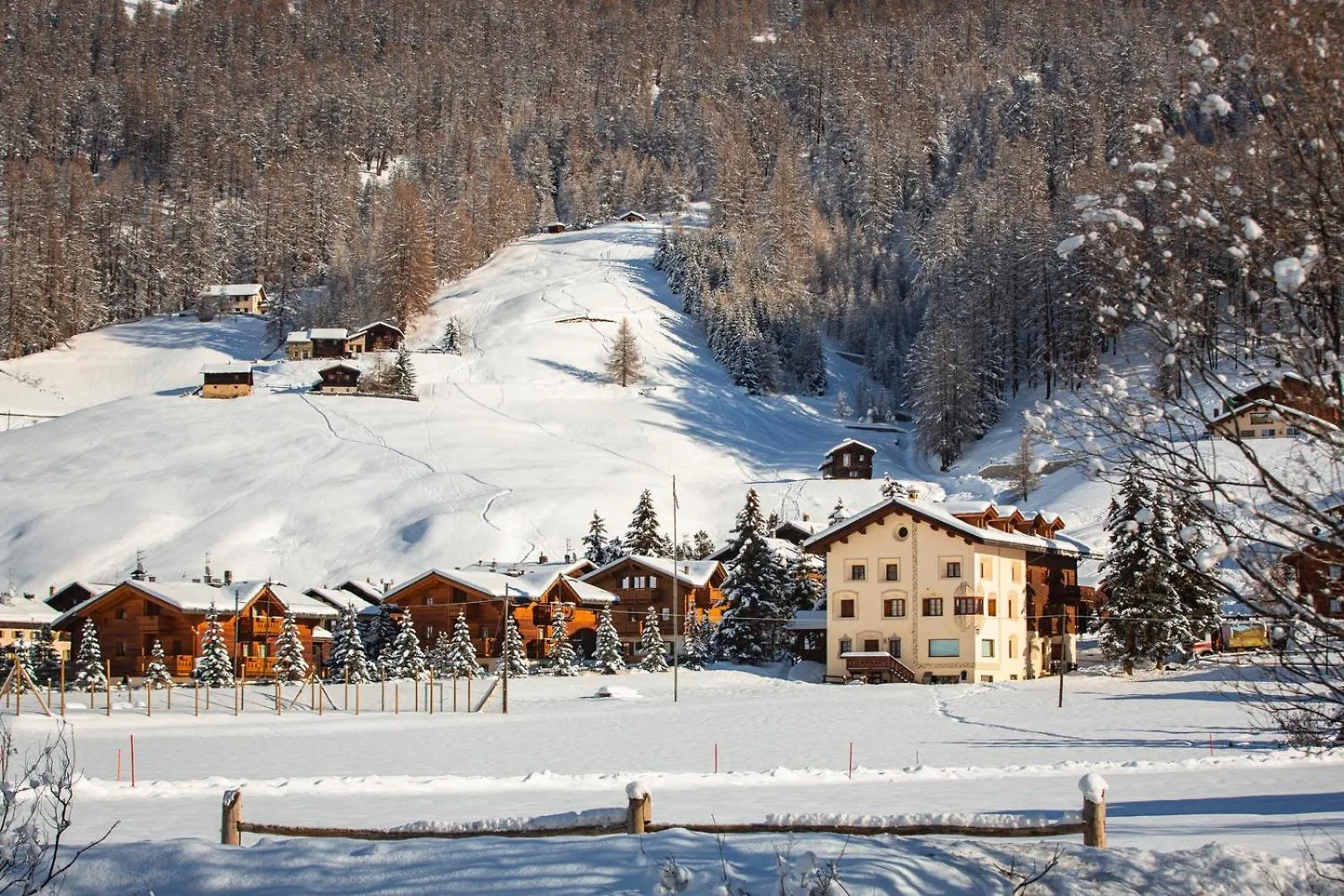 White Pine Lodge Livigno Apartment